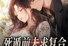 死遁前夫求复合，再婚老公红了眼姜玉凝萧厉野小说完结版章节在线阅读-书评酱