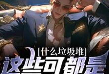 《什么垃圾堆？这些可都是科技神器！》小说大结局免费试读 程乞小说-书评酱