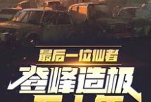 最后一位仙者，登峰造极五十年夏枫夏琳小说在线章节目录阅读最新章节-书评酱