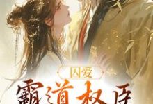 囚爱,霸道权臣诱娇婢女小说,囚爱,霸道权臣诱娇婢女免费阅读-书评酱