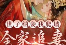 已完结小说《世子纳妾我爬墙,全家追妻悔断肠》在线章节阅读-书评酱