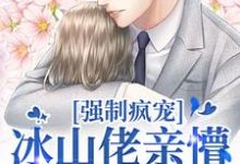 强制疯宠,冰山佬亲懵娇软野玫瑰这本小说怎么样?免费在线阅读试试-书评酱