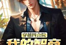 穿越四合院:我的智商震惊高层章节免费在线阅读,易鑫完结版-书评酱