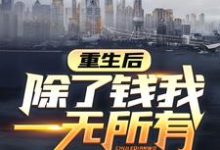 小说《重生后，除了钱我一无所有》章节阅读-书评酱