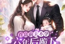 小说《缠绵过后,心机霸总不装了》章节阅读-书评酱