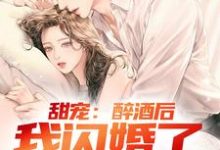 已完结小说《甜宠:醉酒后,我闪婚了千金总裁》章节在线阅读-书评酱