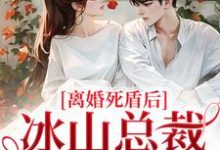 宋瓷陆经年小说离婚死盾后,冰山总裁哭崩了在线阅读章节-书评酱