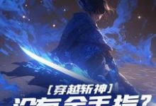 江野小说叫什么(穿越斩神,没有金手指?我也能成神免费阅读)-书评酱