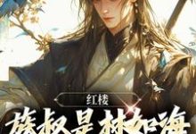 红楼：族叔是林如海，在线当大佬林民意林黛玉，红楼：族叔是林如海，在线当大佬章节在线阅读-书评酱