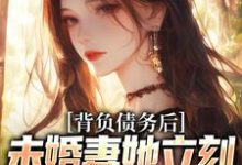 苏航小说叫什么(背负债务后,未婚妻她立刻提了退婚免费阅读)-书评酱