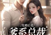 《先婚后爱:爹系总裁超宠的!》全集免费在线阅读(阮时星萧灏琛)-书评酱