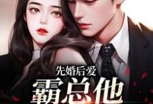 《先婚后爱:霸总他总在追妻》全集免费在线阅读(黎浅顾庭琛)-书评酱