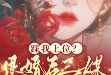 完整版的踩我上位?退婚后三媒六聘嫁他哥小说在哪里可以免费读到?-书评酱