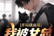 开局就面基,我被女总裁甩了叶青宋瑾瑶,开局就面基,我被女总裁甩了在线无弹窗阅读-书评酱