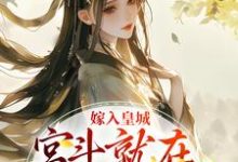 已完结小说《嫁入皇城,宫斗就在一瞬间》在线章节阅读-书评酱