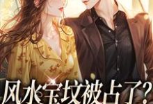 风水宝坟被占了？霸总你让让我小说，风水宝坟被占了？霸总你让让我江愿顾清衍-书评酱