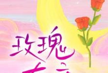 玫瑰有瘾小说最新章节在哪里可以读到？-书评酱