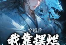 完结版《穿越后，我靠摆烂咸鱼大翻身》章节阅读-书评酱