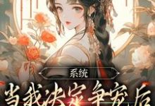 小说《系统:当我决定争宠后,后宫无敌手》章节免费阅读-书评酱