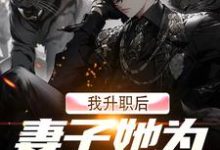 我升职后，妻子她为何不开心？（许晨周心怡）在线免费阅读-书评酱