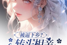 被逼下乡？转头相亲嫁首长被娇宠这本小说在哪里可以看？哪里有免费试读章节？-书评酱