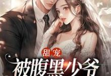 甜宠：被腹黑少爷藏起来的娇宝沈初棠时承煜小说在线章节免费阅读-书评酱