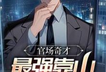 官场奇才:最强靠山竟是我自己李霖小说完结版章节在线阅读-书评酱