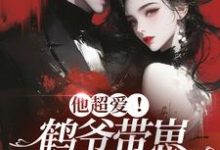 在线寻找他超爱！鹤爷带崽上门求名分小说的无删减版本-书评酱