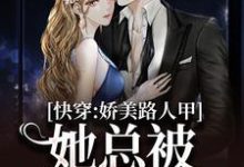 已完结小说《快穿：娇美路人甲她总被男主觊觎》章节在线阅读-书评酱