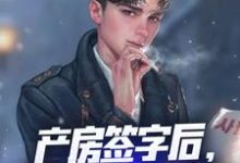 产房签字后，觉醒奶爸系统！免费阅读，产房签字后，觉醒奶爸系统！秦飞林若雪-书评酱