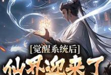 觉醒系统后,仙界迎来了互联网时代林夜小说在线章节目录阅读最新章节-书评酱