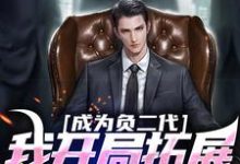 成为负二代，我开局拓展海外市场苏辰，成为负二代，我开局拓展海外市场小说免费阅读-书评酱