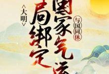 《大明:开局绑定国家气运,与国同休》小说章节列表免费试读,朱瞻基朱棣小说在线阅读-书评酱
