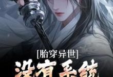 胎穿异世:没有系统,我举步维艰小说,胎穿异世:没有系统,我举步维艰在线阅读-书评酱