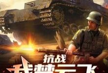 抗战：我楚云飞，晋军元帅小说，抗战：我楚云飞，晋军元帅章节在线阅读-书评酱