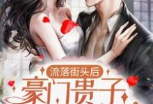 流落街头后，豪门贵子成了爹系男友免费阅读，流落街头后，豪门贵子成了爹系男友章节在线阅读-书评酱