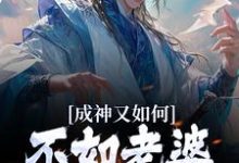 成神又如何,不如老婆孩子热炕头小说阅读,成神又如何,不如老婆孩子热炕头完结版-书评酱