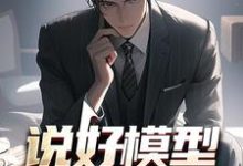 说好模型,你真飞起来了?小说,说好模型,你真飞起来了?在线阅读-书评酱