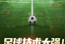小说《足球技术太强！我，控场球王》章节阅读-书评酱
