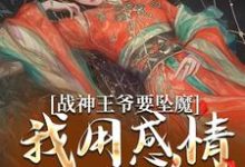 战神王爷要坠魔，我用感情拯救他苏婉清陆少卿，战神王爷要坠魔，我用感情拯救他小说免费阅读-书评酱