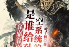 靠靠靠靠!是谁给孙悟空系统的?小说的所有章节都能在哪里免费读到?-书评酱