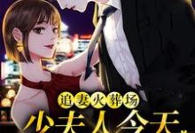 林墨染傅潮生小说追妻火葬场:少夫人今天又硬气了章节免费阅读-书评酱