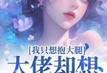 我只想抱大腿,大佬却想拿下我小说完结版章节免费阅读-书评酱