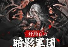 小说《开局百万暗影军团!缔造不朽帝朝》在线章节阅读-书评酱