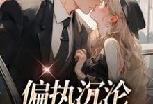 偏执沉沦:学长,晚上见小说阅读,偏执沉沦:学长,晚上见完结版-书评酱