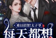 完结版《难以招架!太子爷每天都想强取豪夺》在线免费阅读-书评酱