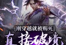 刚穿越就被赐死，直接破境陆地神仙小说无弹窗阅读的网站推荐-书评酱