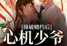 免费看撞破赌约后,心机少爷缠上我小说的网站有哪些?-书评酱