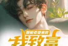 已完结小说《智能老婆来袭,我致富全靠躺》在线章节阅读-书评酱
