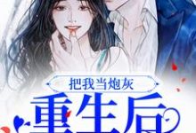 小说《把我当炮灰?重生后我让你哭》在线章节阅读-书评酱